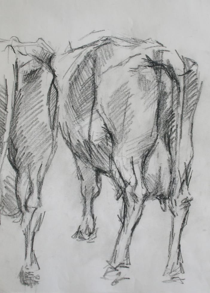 Two cows on the cattle market in Purmerend, 1973, seen from the back.